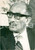 Fotografia d epoca originale 1975 PARIS FRANCE Il presidente egiziano Anouar ELSADATE Fotografia 1