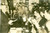 Fotografia d epoca originale 1945 ca WASHINGTON USA Presidente Harry S. TRUMAN in conferenza stampa Foto 1