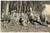 Fotografia d epoca originale 1930 ca COIRA SCHWEIZER ARMEE Militari 98Â° FANTERIA finto omicidio Foto 1
