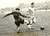 Fotografia d epoca originale 1943 COLOMBES FOOTBALL COUPE FRANCE Santiago URTIZBEREA et gardien de but Photo 1