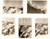 Fotografia d epoca originale 1950 TRAFOI BZ Passo dello STELVIO Lotto 5 Fotografie 9x6 1