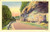 Cartolina originale da collezione 1930 ca NOEL, MISSOURI USA Street along Mount SHIRA Bluff Postcard FP NV 1