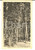 Cartolina originale da collezione 1923 CESANA TORINESE Pineta della Cava di Marmo Cartolina VINTAGE FP VG 1