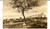 Cartolina originale da collezione 1945 CESENA Santuario MADONNA DEL MONTE Cartolina postale FP 1