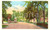 Cartolina originale da collezione 1953 MUSCATINE, IOWA USA L ingresso di WEED PARK Cartolina FP VG 1