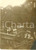 Fotografia d epoca originale 1914 BERLIN DE WWI Cannoni rumeni al KÃ¶nigliches Schloss Foto cm 8 x 11 1