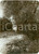 Fotografia d epoca originale 1918 GRECHOWO POLAND WWI Ruscello che scorre tra TAGANROG e il CAUCASO Foto 1