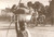 Fotografia d epoca originale 1970 ca KORHOGO COSTA D AVORIO Anziana trasporta viveri al villaggio FOTO 12x9 1