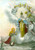 Cartolina originale da collezione 1955 VICENZA Madonna a Vincenzo PASINI Basilica di Monte BERICO COLORATA A MANO 1