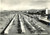 Cartolina originale da collezione 1955 RICCIONE RN Il lungomare con bagnanti e hotel PROMENADE Cartolina FG VG 1
