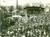 Documento originale, autentico 1930 ca TORINO RIVA DESTRA Umberto II inaugura Colonna ai caduti Fotografia 1