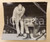 Fotografia d epoca originale 1961 SAN FRANCISCO USA BOXE Monroe RATLIFF al tappeto Foto DANNEGGIATA 28 x 25 1