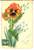 Cartolina originale da collezione 1910 ca FRANCIA Cartolina augurale DISEGNATA A MANO con primula arancione 1