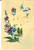 Cartolina originale da collezione 1920 ca FRANCIA Violette con una farfalla Bozzetto DIPINTO A MANO 1