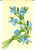 Cartolina originale da collezione 1937 FRANCIA Un mazzolino di fiori azzurri Cartolina postale DIPINTA A MANO 1
