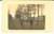 Fotografia d epoca originale 1915 ca WW1 FRANCIA Ufficiale posa a cavallo lungo un viale Foto FP 1