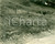 Fotografia d epoca originale 1930 GREENE COUNTY, PENNSYLVANIA USA Imbrigliamento frane per nuova autostrada 1