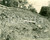 Fotografia d epoca originale 1930 GREENE COUNTY PENNSYLVANIA USA Sradicamento condutture per nuova autostrada 1