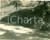 Fotografia d epoca originale 1933 GREENE COUNTY, PENNSYLVANIA USA Lato della collina franato sulla strada 1