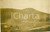 Fotografia d epoca originale 1911 AUSTIN, PENNSYLVANIA USA Case travolte dall inondazione Veduta generale 1