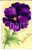 Cartolina originale da collezione 1906 FRANCIA Cartolina BONNE FETE con una violetta DIPINTA A MANO 1