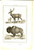 Stampa, bozzetto originale 1830 ca Domeny DE RIENZI Stati Uniti  Vapiti e buffalo Stampa n° 28 1