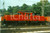 Fotografia d epoca originale 1985 ca SVIZZERA Ferrovie SBB CFF FFS Locomotiva 16801 Fotografia 1