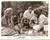 Fotografia d epoca originale 1957 YOUNG STRANGER James MACARTHUR al parco con ragazze COCA COLA Foto di scena 1