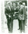 Fotografia d epoca originale 1980 LISBONA Vicepresidente Walter MONDALE accolto da Mario SOARES Fotografia 1