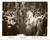 Fotografia d epoca originale 1955 CAPTAIN LIGHTFOOT Dame e cavalieri al ballo Regia Douglas SIRK Foto 1