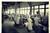 Fotografia d epoca originale 1960 FRANCE TOULON Ouvrières dans l usine du FLAN LYONNAIS Photo VINTAGE 18x13 1