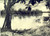 Fotografia d epoca originale 1960 ca GABON Fiume nella foresta equatoriale Foto ARTISTICA 30x24 cm 1