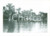 Fotografia d epoca originale 1953 WINTER HAVEN, FLORIDA USA Attracco barche al CYPRESS GARDENS Fotografia 1
