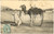 Cartolina originale da collezione 1907 COSTUMI ALGERIA Arabo in preghiera nel deserto Cartolina postale FP VG 1