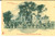 Cartolina originale da collezione 1900 ca KEETMANSHOOP NAMIBIA Posto di polizia Animata con guardie FP NV 1