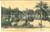 Cartolina originale da collezione 1906 RIO DE JANEIRO BRAZIL Jardim do Museu Nacional Cartolina postale FP VG 1