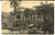 Cartolina originale da collezione 1906 RIO DE JANEIRO BRAZIL Jardim Botanico Cartolina postale FP VG 1