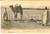 Cartolina originale da collezione 1905 TUNISIE BIZERTE Aratro tirato da un cammello Cartolina VINTAGE 1