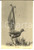 Cartolina originale da collezione 1900 ca SYDNEY AUSTRALIA Lyre Bird VINTAGE postcard signed Jas ELLIOT 1