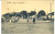 Cartolina originale da collezione 1905 ca SAO PAULO BRAZIL Largo 7 de setembro Cartolina postale FP VG 1