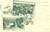 Cartolina originale da collezione 1903 PARAMARIBO SURINAME Vedutine COMBEWEG Cartolina FP VG 1