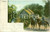 Cartolina originale da collezione 1904 VERACRUZ MEXICO Ufficiali dell esercito a cavallo Cartolina ANIMATA FP NV 1