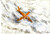 Cartolina originale da collezione 14/1983 Cartolina Pericle FAZZINI Costruzioni aeronautiche Ed. numerata n° 0026 1