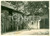 Fotografia d epoca originale 1955 ca FRANCE Cortile interno di una casa colonica con edera Fotografia 1