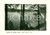Cartolina originale da collezione 1952 SILA CALABRIA Veduta panoramica del Lago ARVO Cartolina FG VG 1