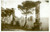 Cartolina originale da collezione 1934 CAPRI NA Panorama dei Faraglioni dalle colonne Cartolina FP VG 1