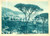 Cartolina originale da collezione 1935 SPOTORNO SV Panorama del paese dalla pineta Cartolina FG VG 1
