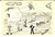 Cartolina originale da collezione 195155 ACCADEMIA NAVALE Cartolina MAK P 100 AUSTRALI Illustrata 1