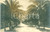 Cartolina originale da collezione 1920 ca GENOVA NERVI Veduta del Viale delle Palme Cartolina FP NV 1