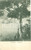 Cartolina originale da collezione 1919 CAMOGLI GE Panorama del paese sul golfo Cartolina postale FP VG 1